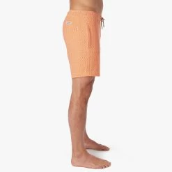 The Bayberry Trunk | Tangerine Summer Tiles 11 The Bayberry Trunk | Tangerine Summer Tiles -Clothing Store BAY7 831 Tangerine Summer Tiles ONFIG 003