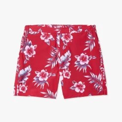 The Sextant Trunk | Red Hibiscus